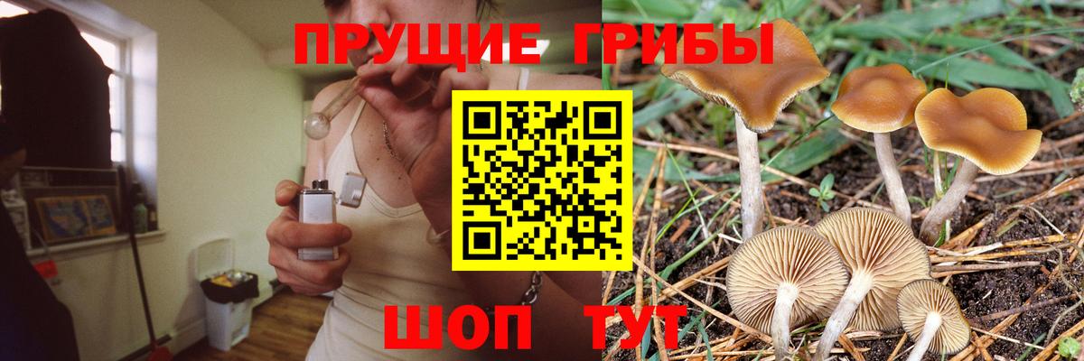 Псилоцибиновые грибы MAGIC MUSHROOMS Моршанск